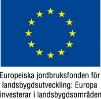 EU4